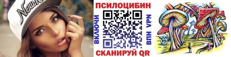 MEGA рабочий сайт Буйнакск Псилоцибиновые грибы Psilocybe