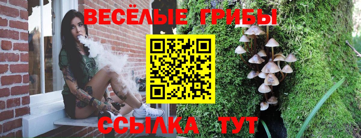 Псилоцибиновые грибы MAGIC MUSHROOMS  Вход с VPN  Галлюциногенные грибы мицелий  Буйнакск 